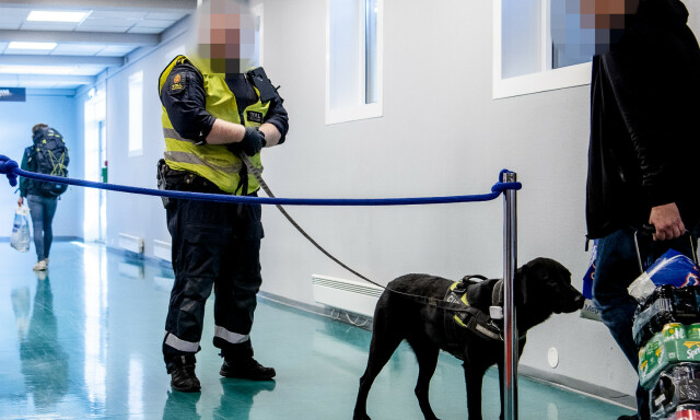 image: Slik avsløres du i tollen